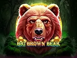 Big Brown Bear thumbnail